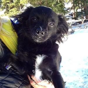 Meet your Posher, Lindsay